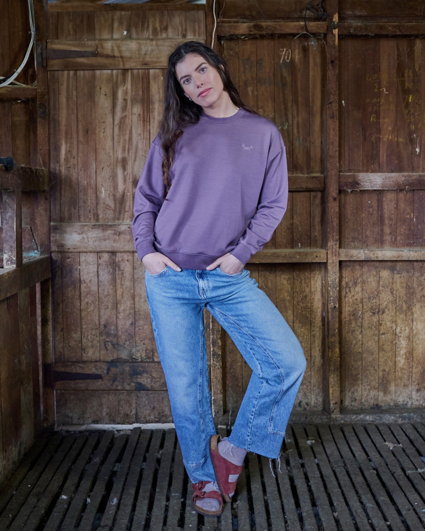 Women's Crew Sweatshirt - 100% Merino Wool, Plum