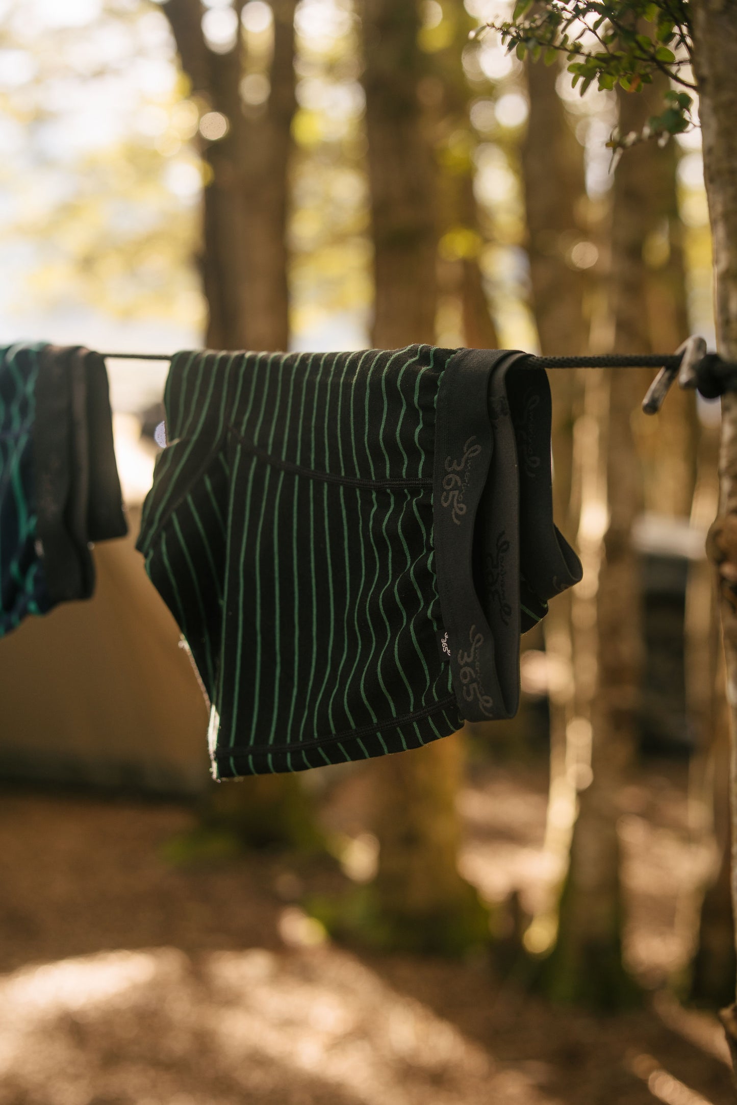 Merino 365 Men's Boxer Brief with Fly, Black Forest Stripe