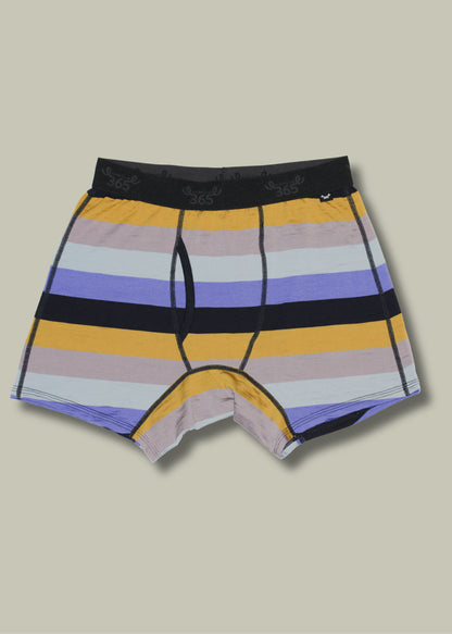 Merino 365 Men's Boxer Brief with Fly, Multistripe