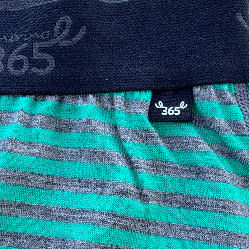 Men's Boxer Brief - 100% Merino Wool, Mint Charcoal Stripe
