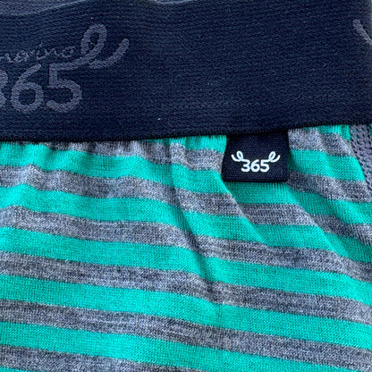 Men's Boxer Brief - 100% Merino Wool, Mint Charcoal Stripe